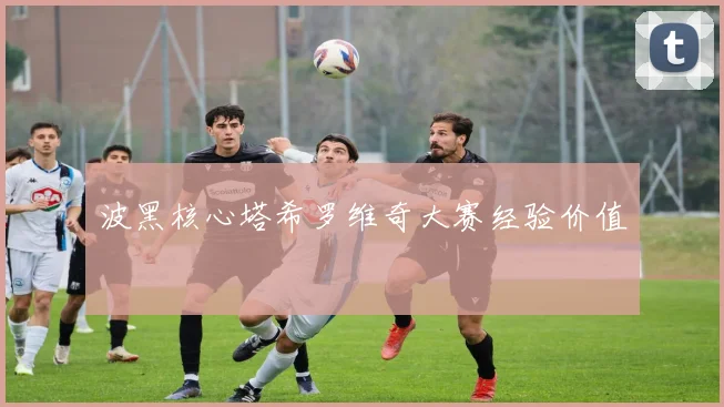 波黑核心塔希罗维奇大赛经验价值