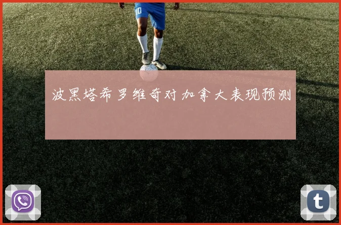 波黑塔希罗维奇对加拿大表现预测