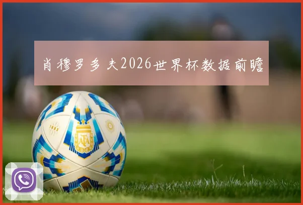 肖穆罗多夫2026世界杯数据前瞻