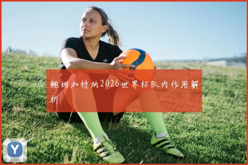 鲍姆加特纳2026世界杯队内作用解析