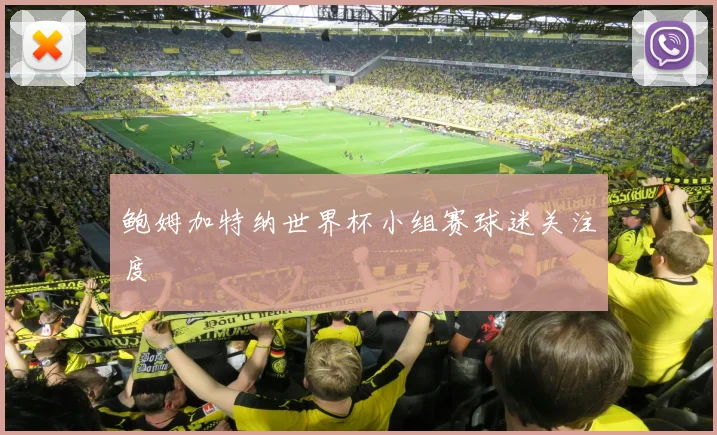 鲍姆加特纳世界杯小组赛球迷关注度