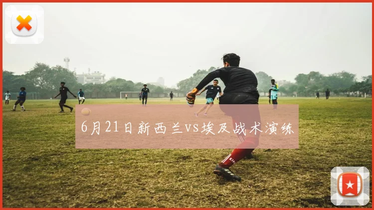 6月21日新西兰vs埃及战术演练
