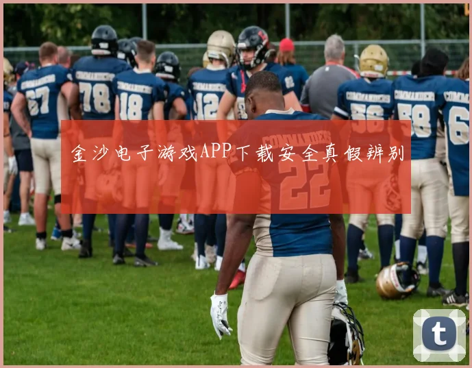 金沙电子游戏APP下载安全真假辨别