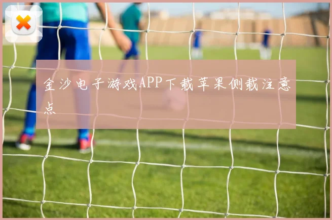 金沙电子游戏APP下载苹果侧载注意点