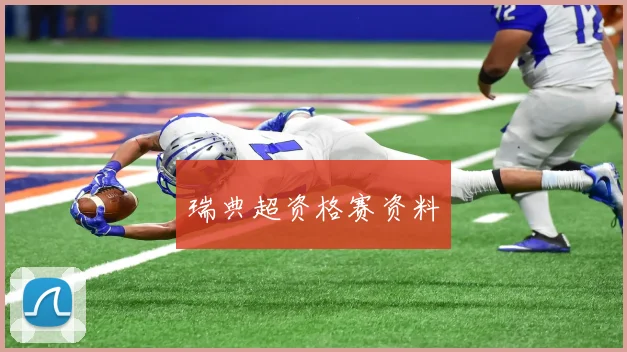 瑞典超资格赛资料