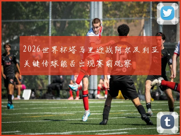 2026世界杯塔马里迎战阿尔及利亚关键传球能否出现赛前观察