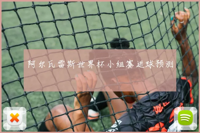 阿尔瓦雷斯世界杯小组赛进球预测